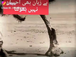 Be Zuban Bhi Apna Ahsan Nahi Bhulta Hai | Entertainment Harnai