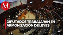 Aprueban periodo 'extra' en Cámara de Diputados para armonizar leyes del T-MEC