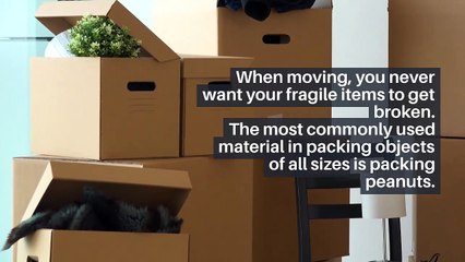 Ready to Start Packing for Your Move? Here’s the 411 on Packing Peanuts