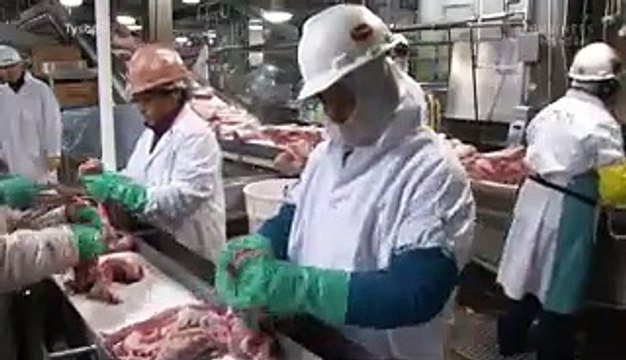 Why 1 million pigs could be euthanized due to COVID-19-related supply chain issues