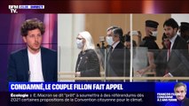 Époux Fillon condamnés: Julien Bayou (EELV) trouve 