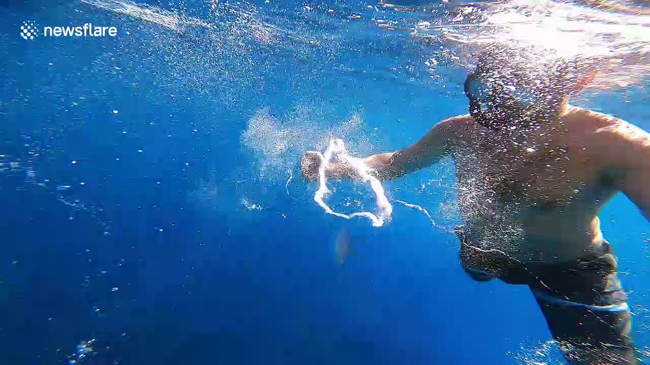 Jellyfish sent flying by bubble ring in Menorca sea