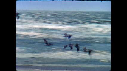 BLACK IS KING - Beyoncé