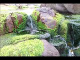 Creevy Pier Sea Rocks and Green Moss in Donegal, Ireland