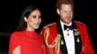 Prince Harry and Duchess Meghan want to end 'online hate speech'