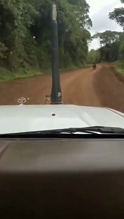 route Bukavu Miti Bunyakiri praticable   Action Fatshi