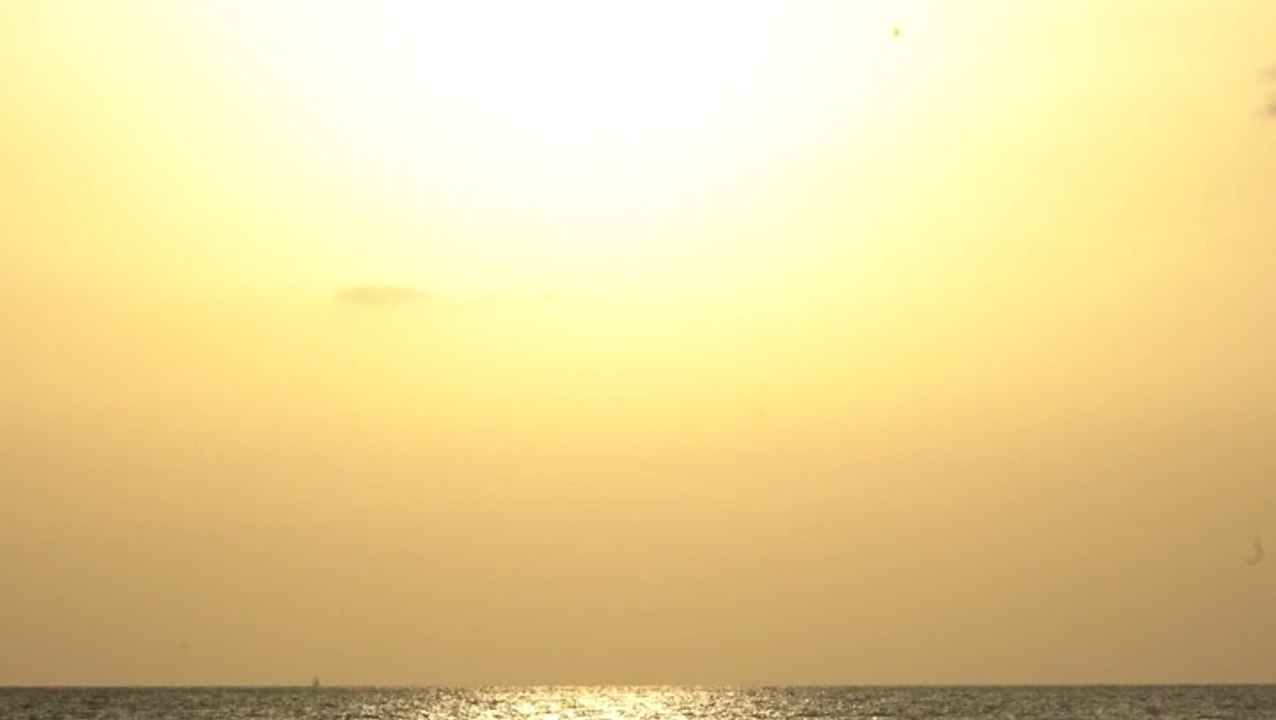 Tampa has never officially reached 100 degrees