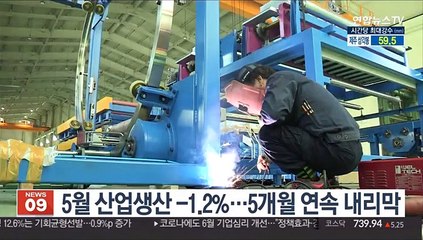 5월 산업생산 -1.2%…5개월 연속 내리막