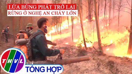 Cháy rừng bùng phát trở lại tại Nghệ An