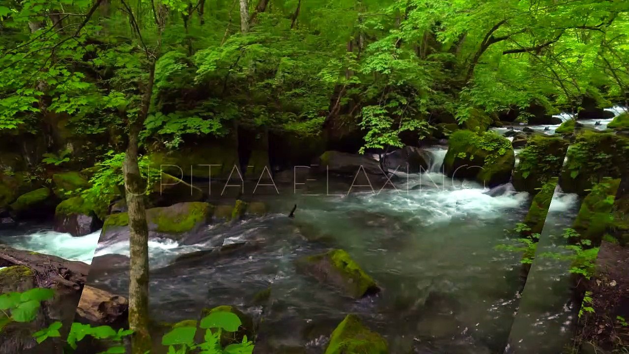 SONIDOS DEL RIO, SONIDOS DE LA NATURALEZA REALES Y RELAJANTES PARA ESTUDIAR, TRABAJAR O DORMIR.