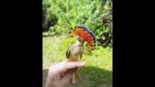 Cute baby animals Videos Compilation cute moment of the animals - Cutest Animals