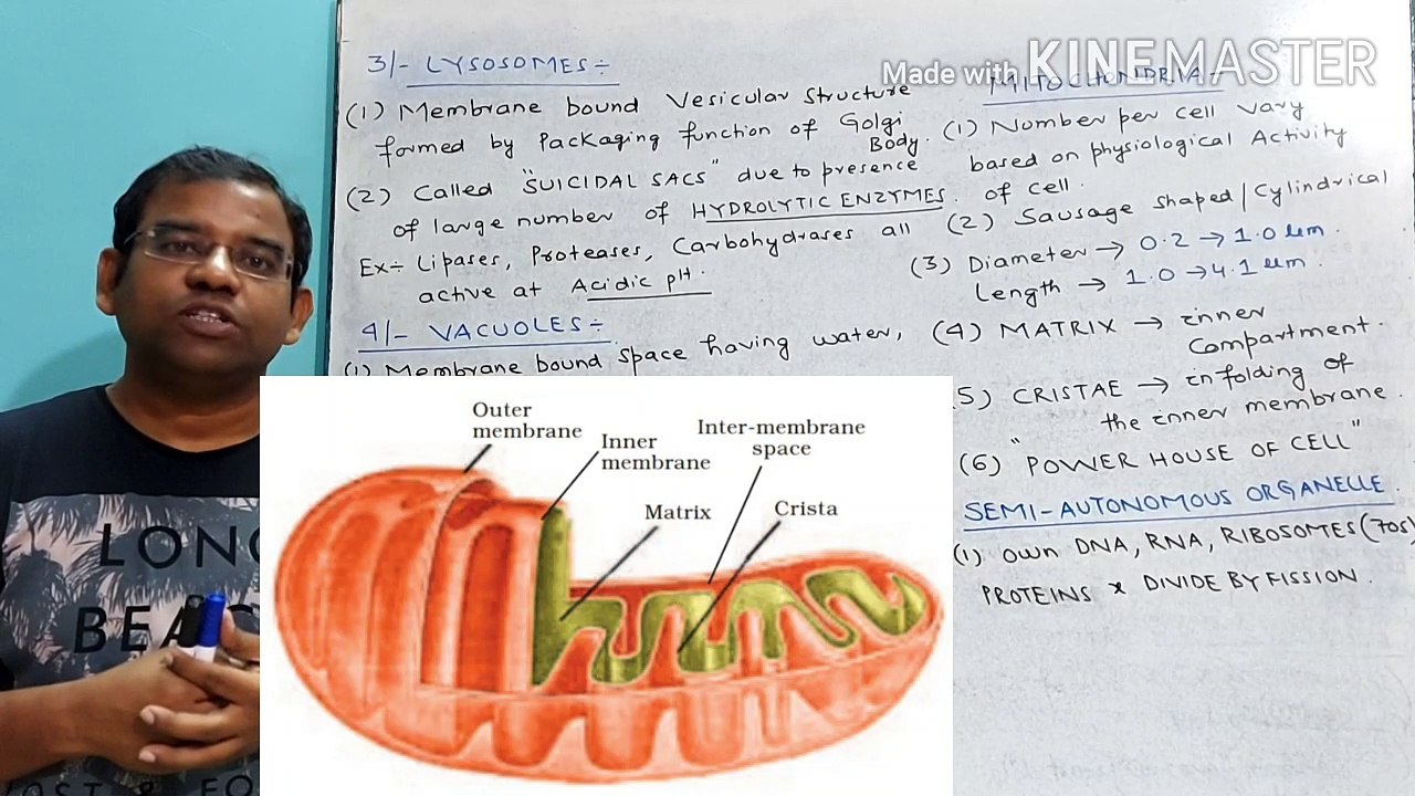 Bio-L19