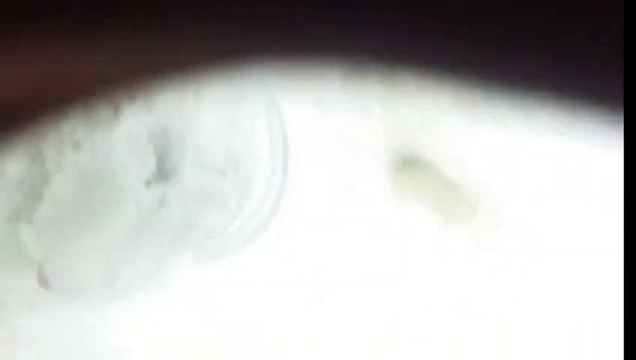 50 L CONICAL SCREW DRYER || Industrial Equipments