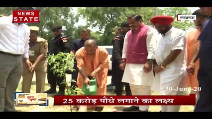 यूपी वन विभाग 5 जुलाई को प्रदेश में लगाएगा 25 करोड़ पौधे