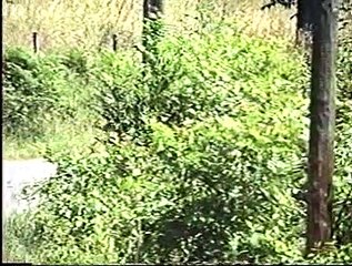 Rallye de BUSSET 1994-2