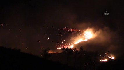 İzmir'de çıkan orman yangınına müdahale ediliyor