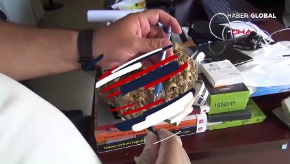 Yol çalışmasında bulundu...  Tam 50 milyon yıllık