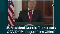 US President Donald Trump calls COVID-19 'plague from China'