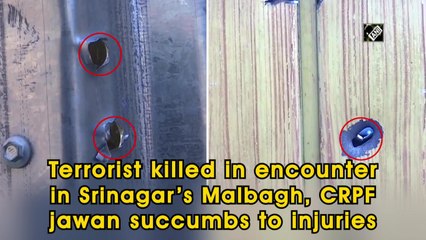 Terrorist killed in encounter in Srinagar’s Malbagh, CRPF jawan succumbs to injuries