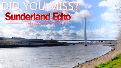 Did You Miss - the Echo this week (June 29-July 3 2020)