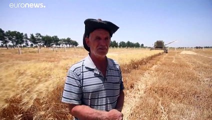 موسم قمح جيد في سوريا يحيي الأمل بالقدرة على مواجهة شبح الجوع