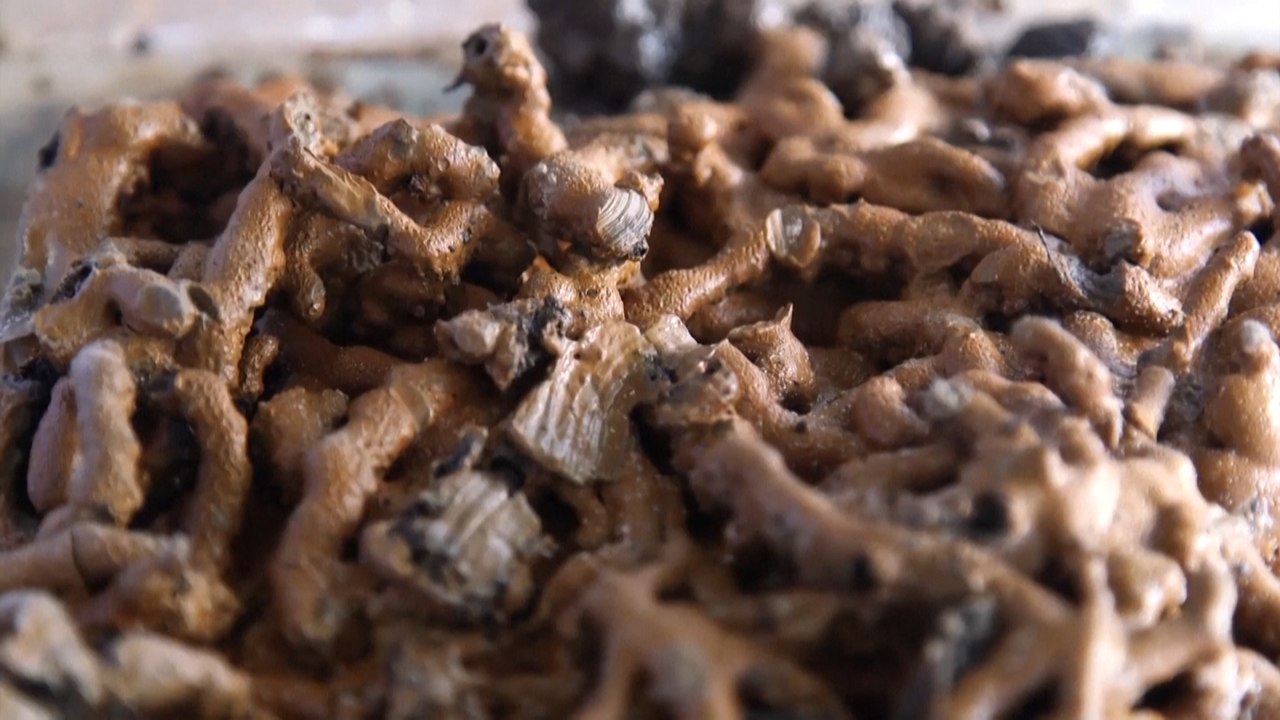 Archaeologists in China say they’ve found the earliest example of herbal medicine in imperial tomb