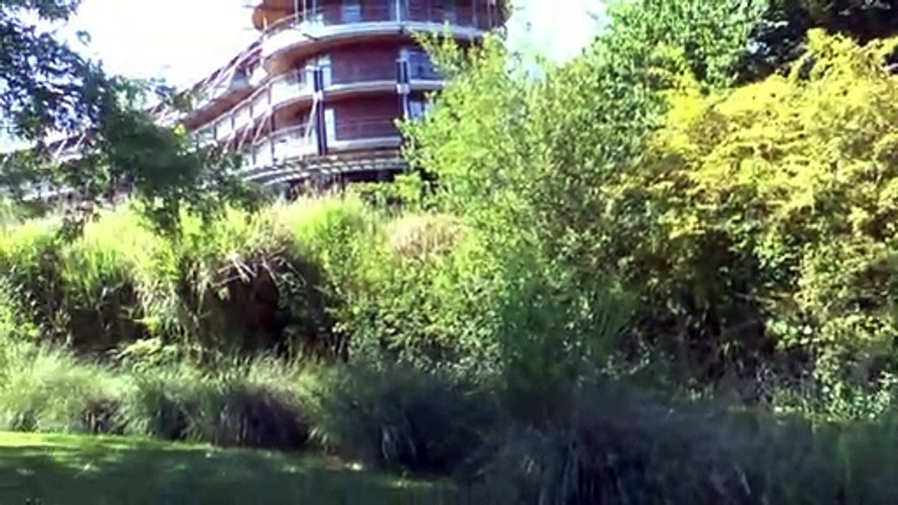 LES SCOOPS DE MICHOU64 W-D.D. - 23 JUIN 2020 - PAU - AU PARC BEAUMONT UNE PISTE EST CRÉÉE AINSI QU'UN SENS UNIQUE