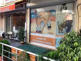 ADANA VETERİNER KLİNİKLERİ DENİZPET.