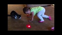 BABIES and CATS Chasing LASER Pointer Videos are so FUNNY you can die of LAUGHTER