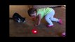 BABIES and CATS Chasing LASER Pointer Videos are so FUNNY you can die of LAUGHTER