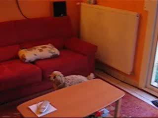 Loula joue au ballon