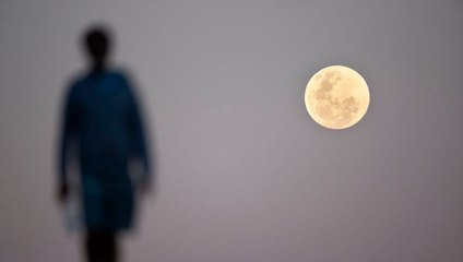 What Your Moon Sign Says About You