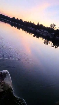 Winnie l'ourson existe bel et bien