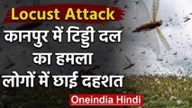 Locust Attack: Kanpur में टिड्डी दल का हमला, लोगों में छाई दहशत,भगाने में जुटे लोग | वनइंडिया हिंदी