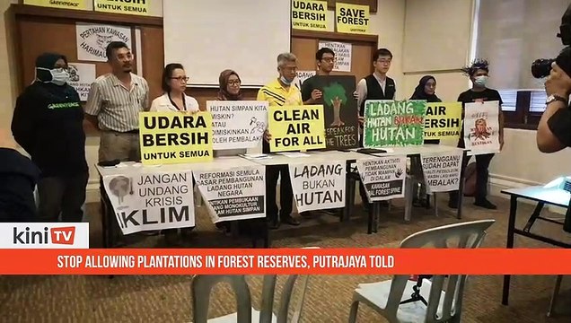 Stop allowing plantations in forest reserves, Putrajaya told