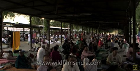 Crowd waits anxiously for the miracle process of fish remedy to begin
