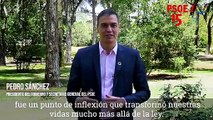 Campaña del PSOE por los 15 años del matrimonio homesexual en España