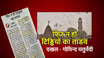 Locust Attack 2020 फिर न हो टिडि्डयों का ताडंव