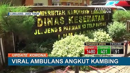 Selain Viral Karena Angkut Kambing, Ambulans Desa juga Pernah Bawa Sapi Curian!