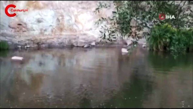 Bingöl'de görüntülendi! Kimseye aldırış etmeden suya dalıp çıktı