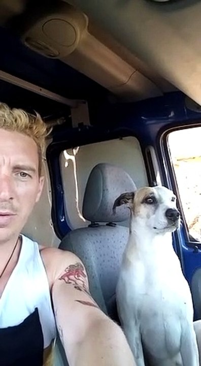 Journée Mondiale contre les abandons d'animaux 3ème Partie