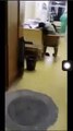 Nevşin Mengü hastanelerdeki skandal görüntüleri paylaştı