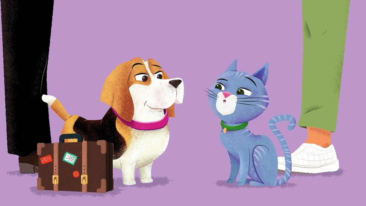 Bénéfice de l'identification pour le suivi médical et le voyage avec son animal