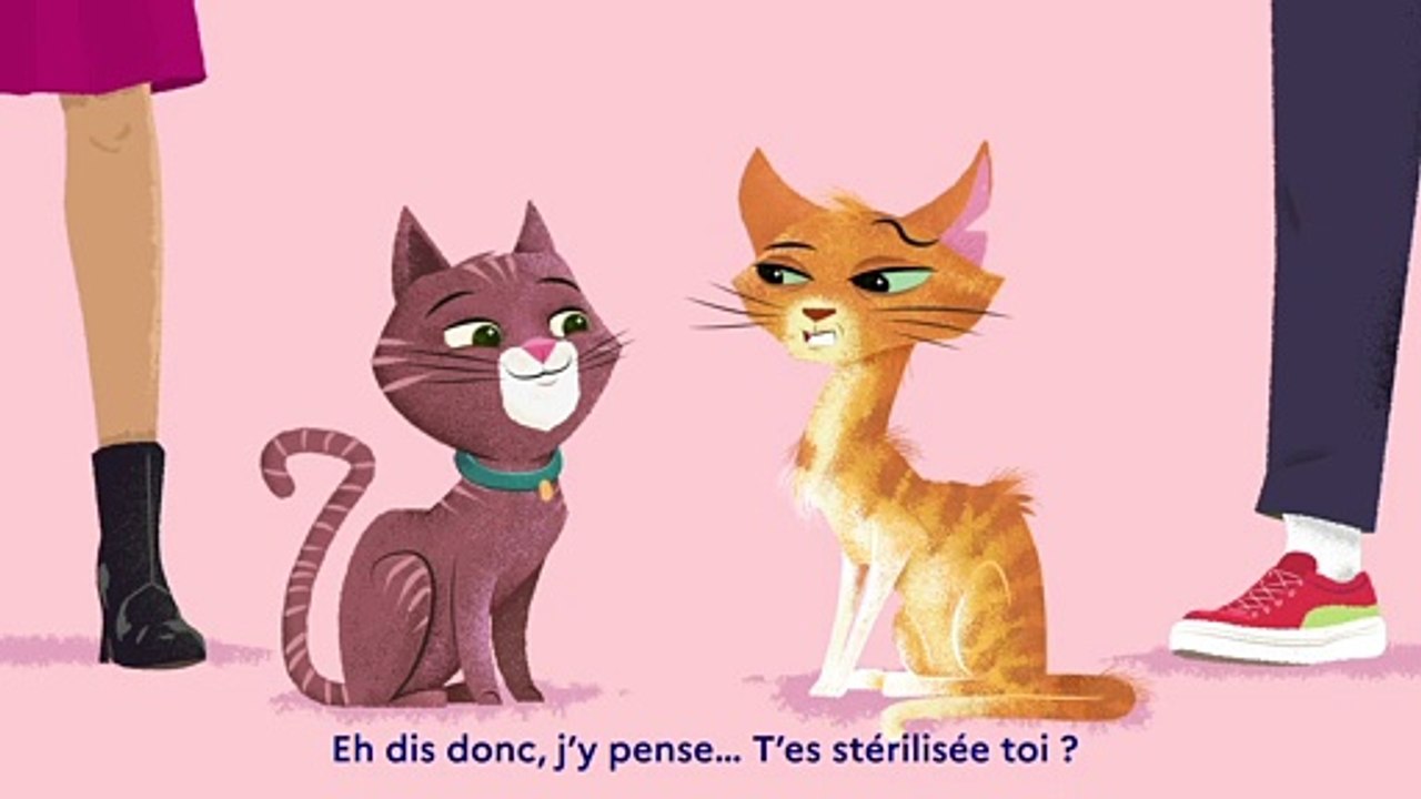 Bénéfice de la stérilisation en vue de limiter le nombre de portées non désirées de chatons