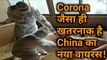 Corona संकट के बीच China में मिला नए तरह का Virus, वैज्ञानिकों की उड़ी नींद!