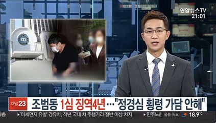 조범동 1심 징역4년…"정경심 횡령 가담 안했다"