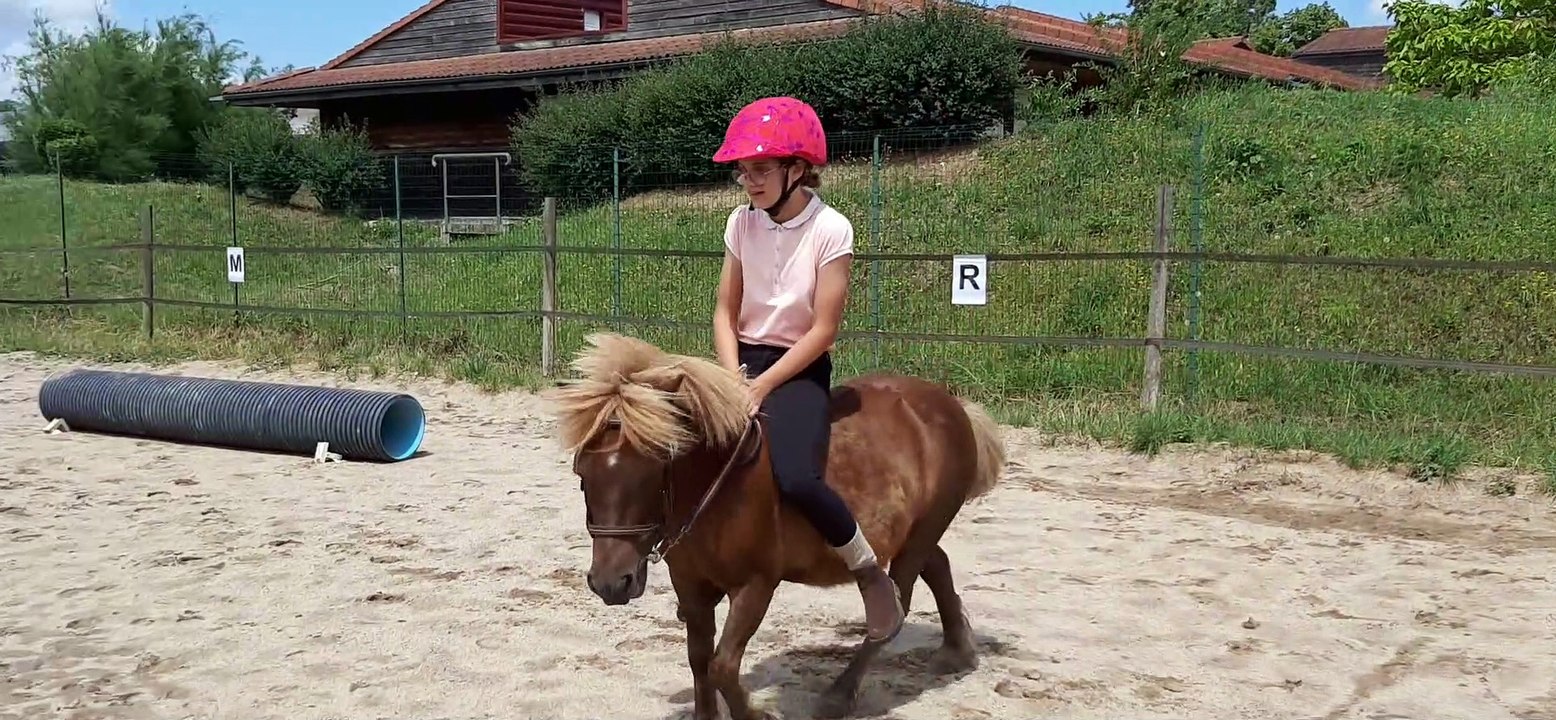 Section hippologie au collège de Lignières