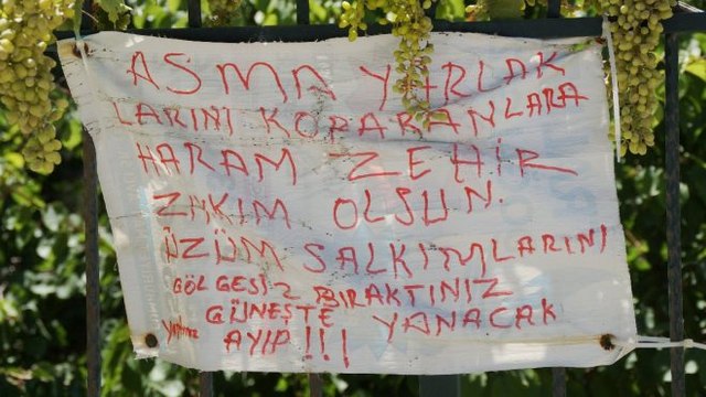 Asma yaprağını koparan komşuları için yaprak bedduası