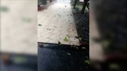 Moradora da Região Sul registra chuva de granizo
