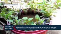 Ibu Rumah Tangga di Malang Manfaatkan Halaman  Rumah Untuk Bercocok Tanam, Bantu Ekonomi Selama Pand